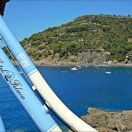 فندق Feluca